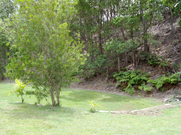 Great Opportunity for the First Home Buyer or Investor Picture 2