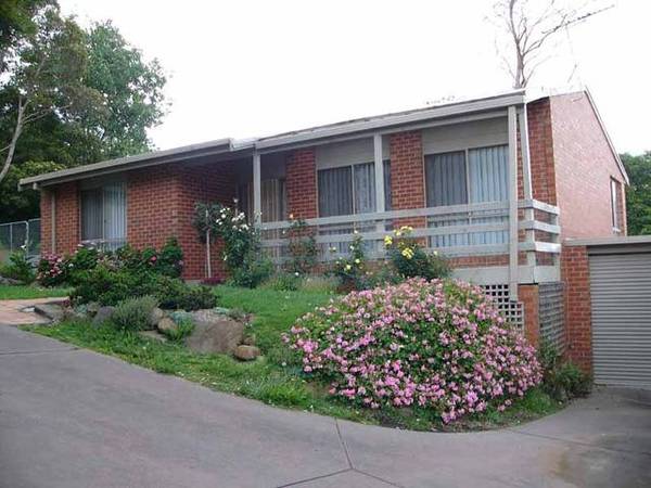 SELDOM FOUND Picture 1