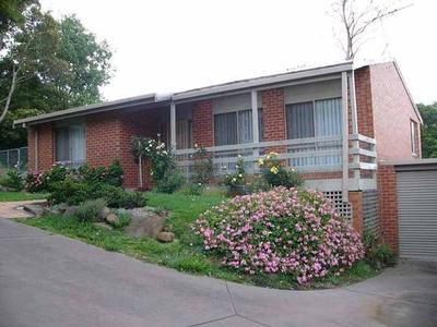 SELDOM FOUND Picture