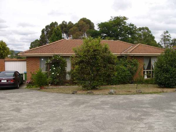 What a Beauty! Picture 1