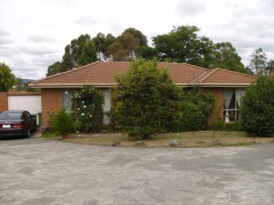 What a Beauty! Picture