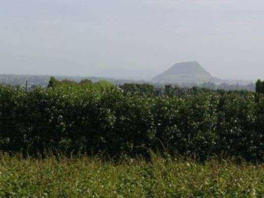 JOYCE ROAD, PYES PA BNO $1.3M GC Picture 1