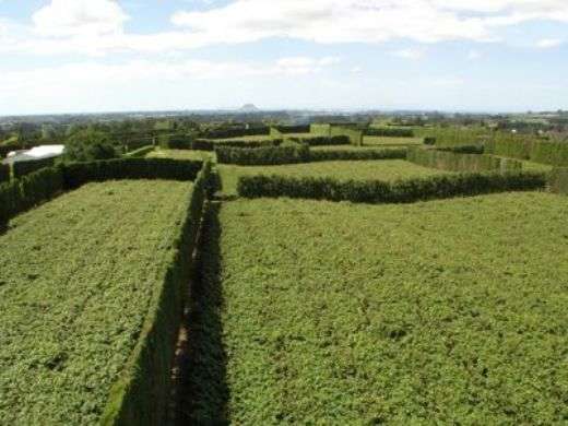 JOYCE ROAD, PYES PA BNO $1.3M GC Picture 3