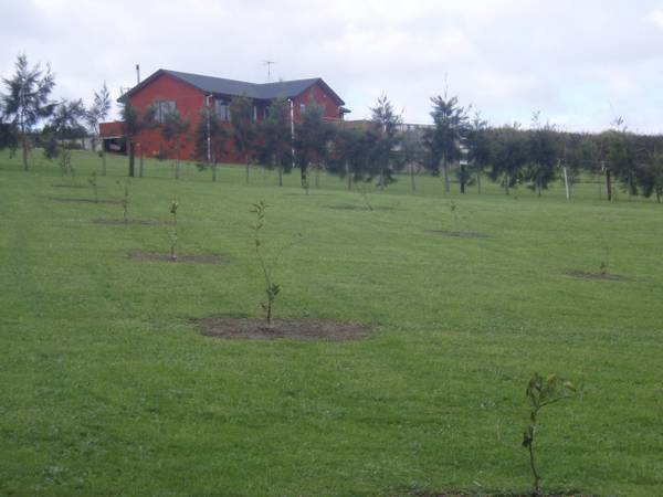 LIFESTYLE WITH OPTIONS! Picture 1