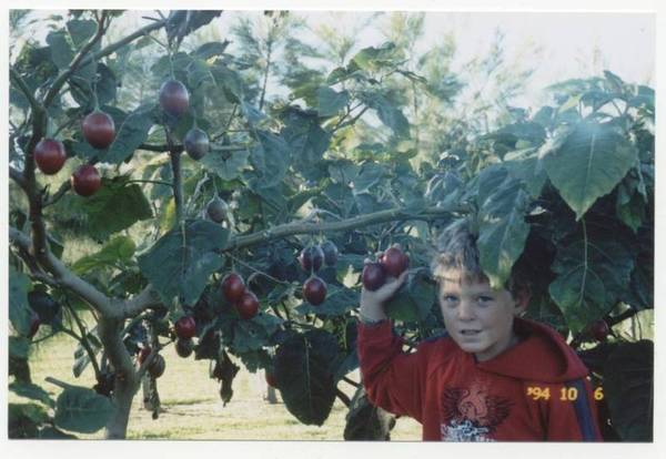 LIFESTYLE WITH OPTIONS! Picture 2