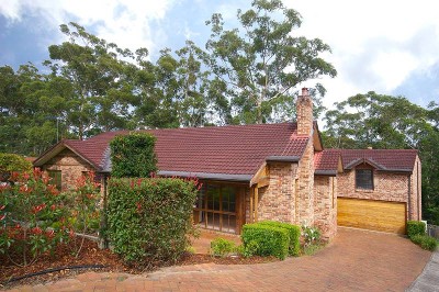 Quiet Bush Outlook Picture