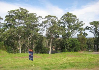 PREMIER BUILDING BLOCK! Picture