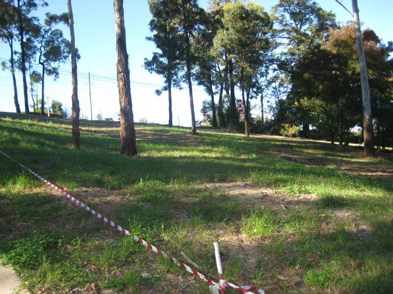 Three Vacant Lots Over 1/2 Acre Picture 2