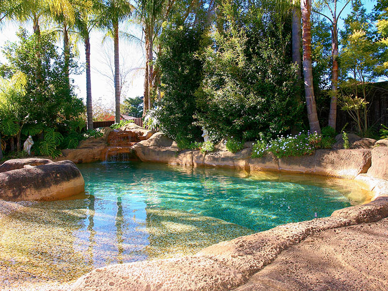 FAMILY HOME IN CHERRYBROOK UP FOR AUCTION Picture 2