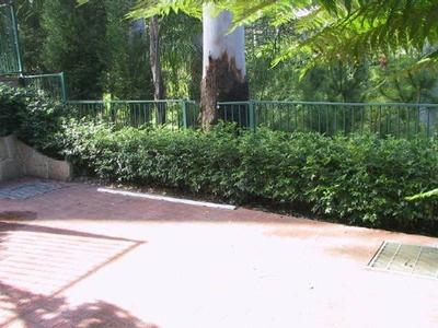 1/36 Alana Drive, West Pennant Hills Picture