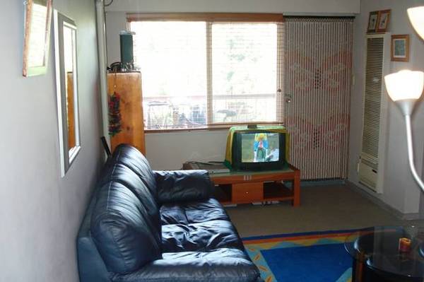 1st FLR APARTMENT IN CONVENIENT LOCATION Picture 3