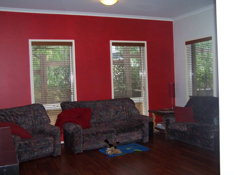 Everything You Need Picture 3