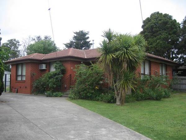 Pleasant Suprise Awaits! Picture