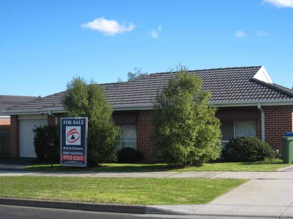 The Best Of The Best! Picture 1