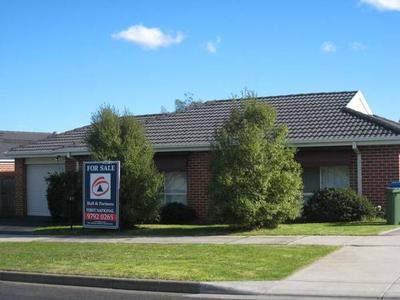 The Best Of The Best! Picture The Best Of The Best! Picture