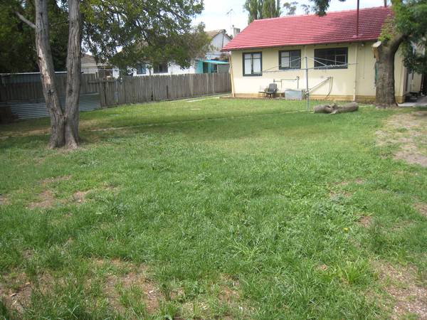 Definitely Lucky Number 7 Picture