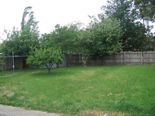 Affordable Endeavour Picture Affordable Endeavour Picture