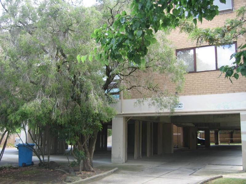 A Rare Find! Picture 2