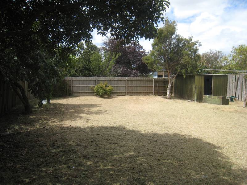 The Perfect Start! Picture 3