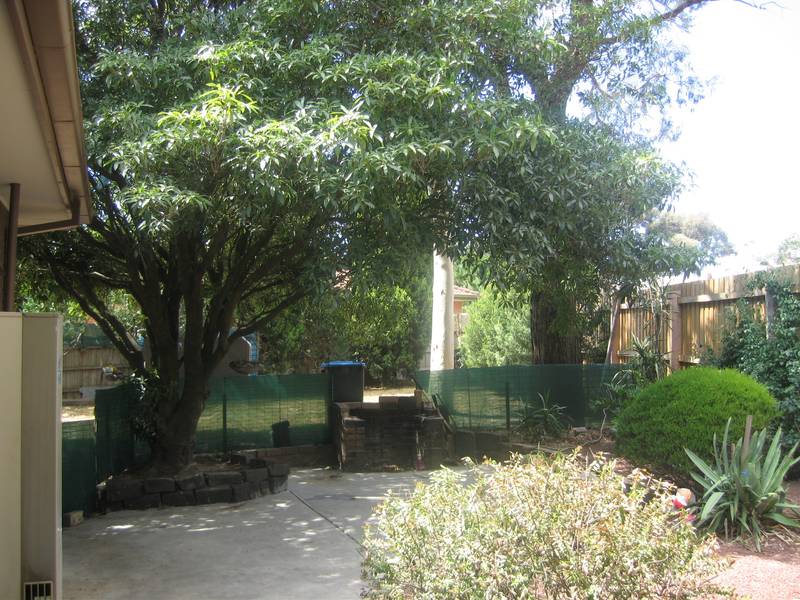 Investors Look Out! Picture