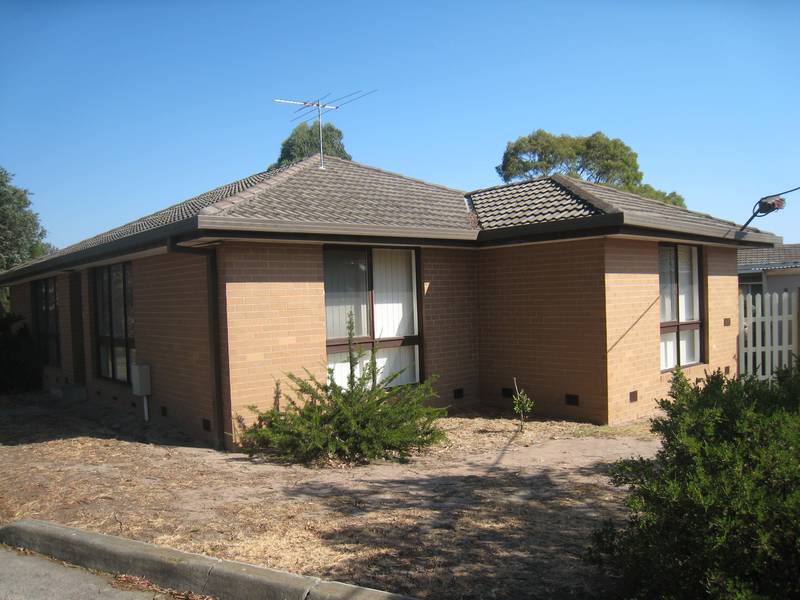 Just What You've Been Looking For Picture 1