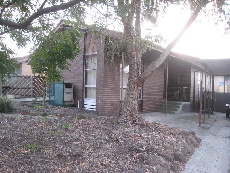 Start Here! Picture 1