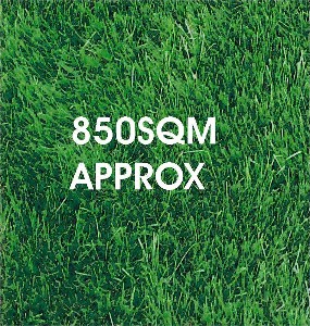 Last And Best! Picture Last And Best! Picture