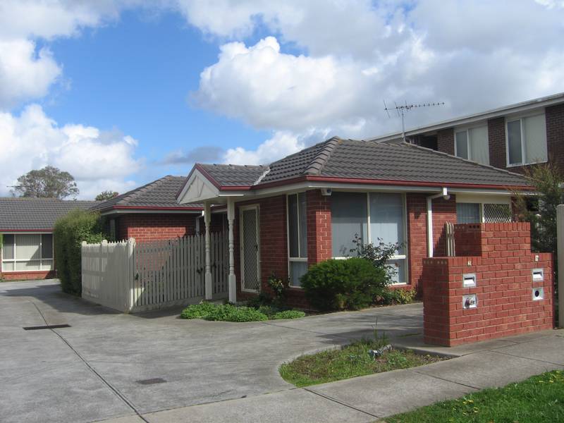 You Cant Go Wrong! Picture 2