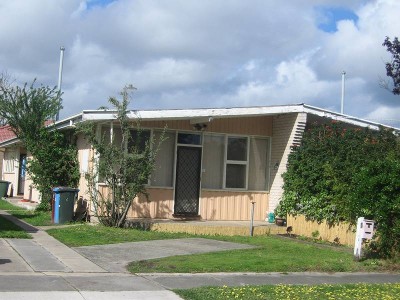 Real Money Tree! Picture Real Money Tree! Picture