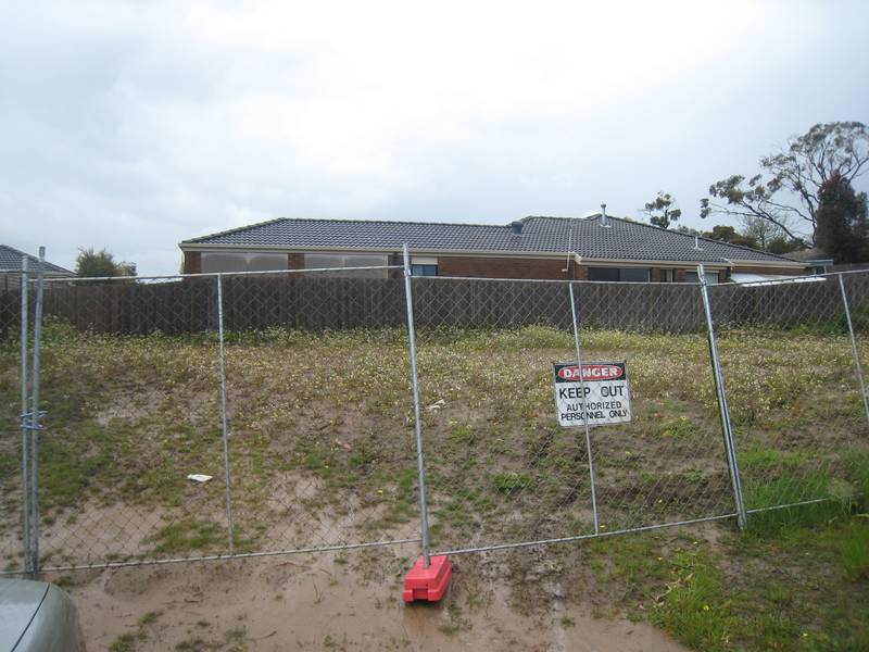 I Love Lucy! Picture 3