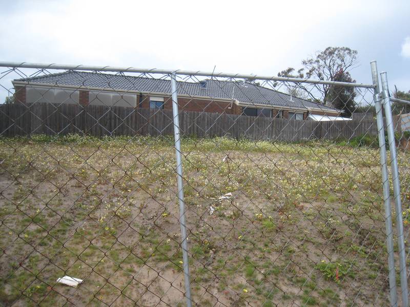 I Love Lucy! Picture 2