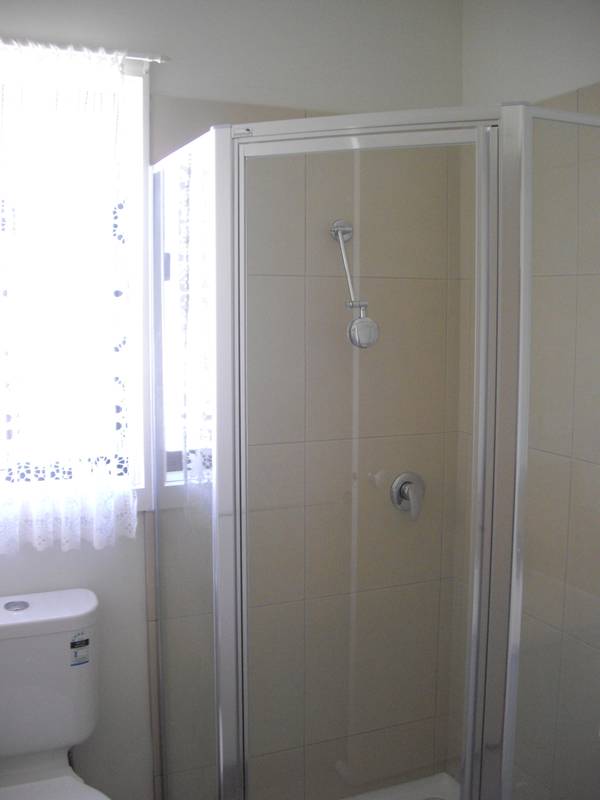 Brand New! Picture 3