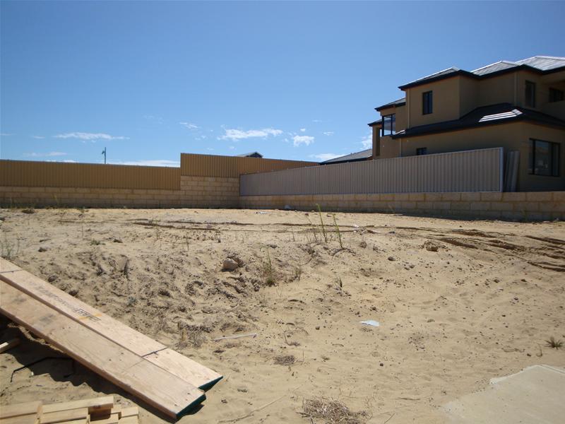 Dreams Forever! Picture 3