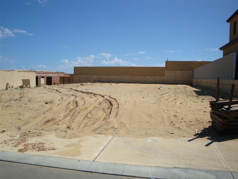 Dreams Forever! Picture 2