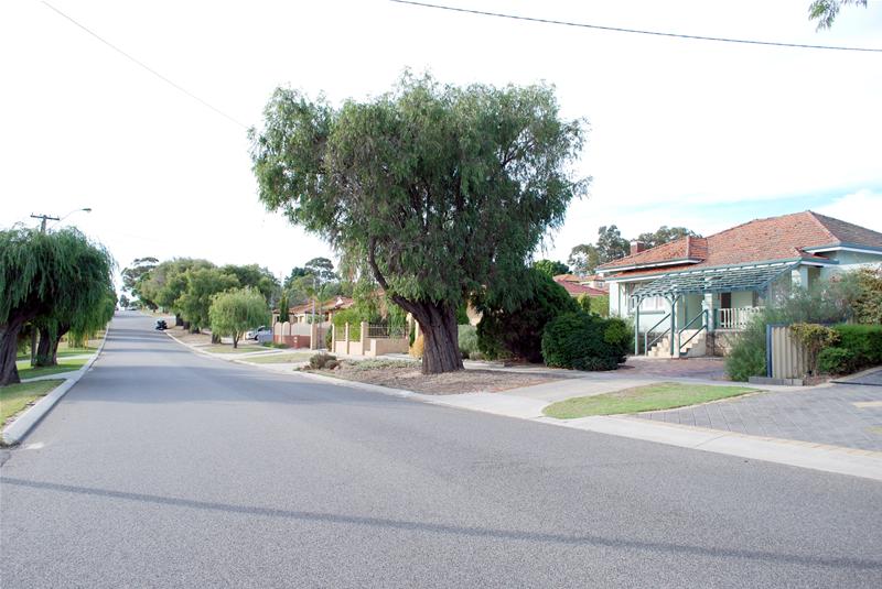 Detonate Or Renovate! Picture 3