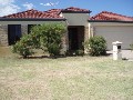 Dianella border - Northwood Estate Picture