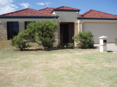 Dianella border - Northwood Estate Picture