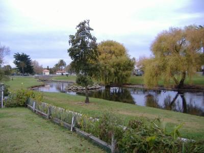 HERONS DUCKS AND THE SHOPS Picture