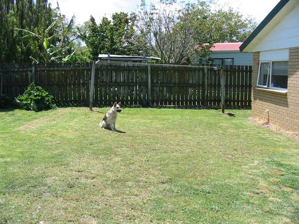 POSSIBLY MANUREWA'S LAST BRICK AND TILE AT THIS PRICE Picture 2
