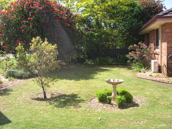 Picture Perfect Picture Picture Perfect Picture