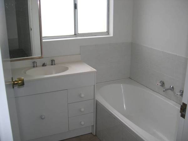 NEW PAINT, CARPET & BLINDS Picture NEW PAINT, CARPET & BLINDS Picture