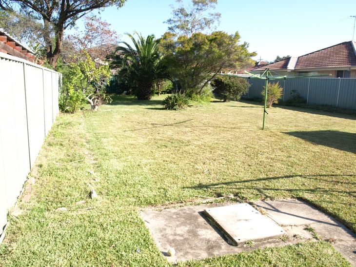 POTENTIAL PLUS Picture 3