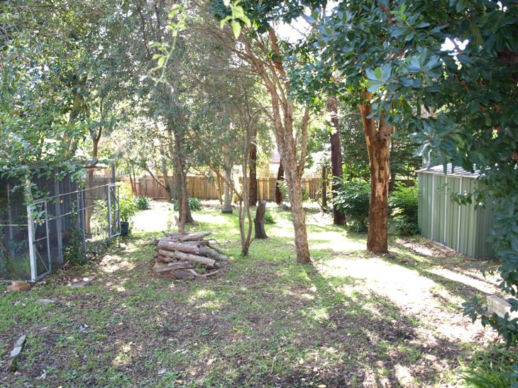 NORTH FACING REAR YARD Picture 2