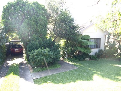 NORTH FACING REAR YARD Picture