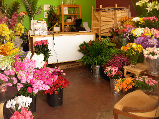 HIGH EXPOSURE RETAIL Picture 1