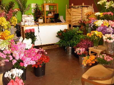 HIGH EXPOSURE RETAIL Picture