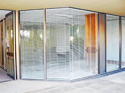 Be The Centre Of Attention In A Quiet Place Picture