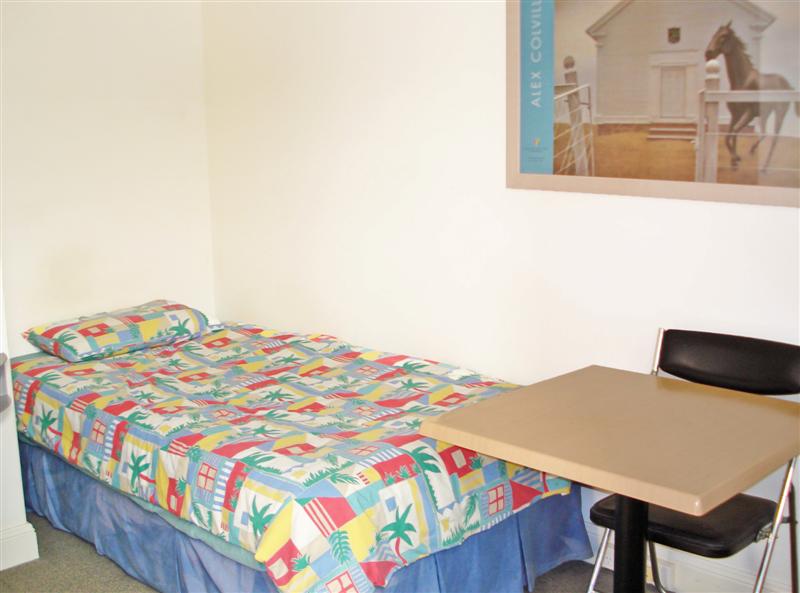 FULLY FURNISHED STUDIO - OPEN FOR INSPECTION SAT 30TH JAN 10.40AM-10.50AM Picture 2