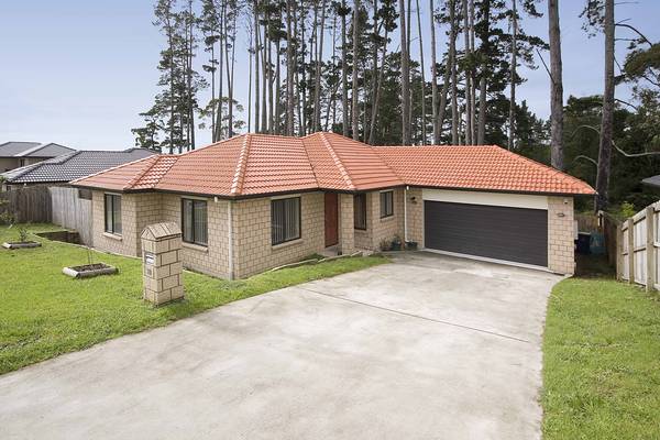 No Gimmicks..... Picture 1