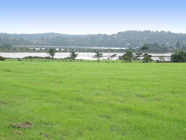 Premium Lifestyle Block Picture 1